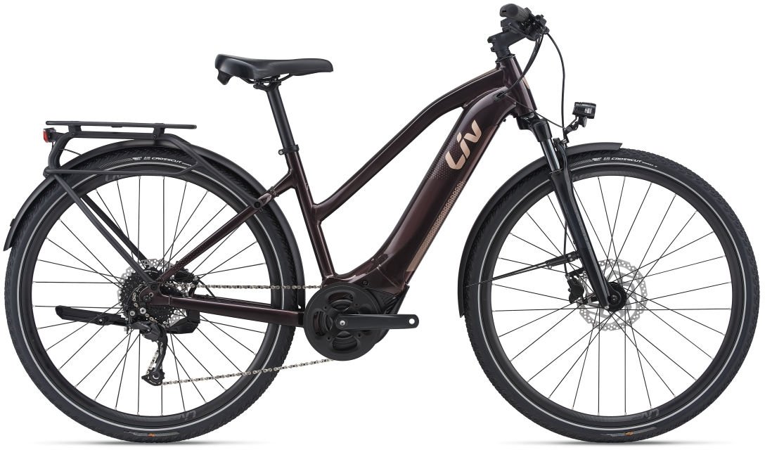 Liv Cycling Amiti E+ 2 2021