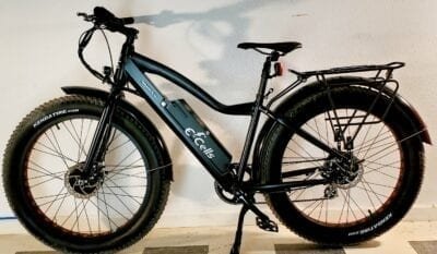 E-Cells 600-Watt Hardtail